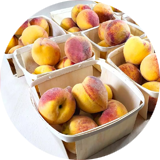 Cestas y bandejas de madera