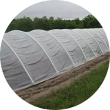 Plástico invernadero