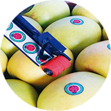 Etiquetadora manual de precios