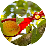 Calibradores manuales